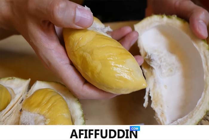 jenis durian paling enak sedap